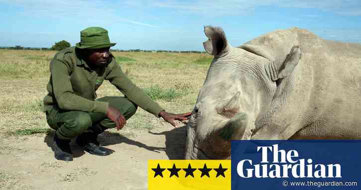 Extinction: The Facts review – a heartbreaking warning from David Attenborough