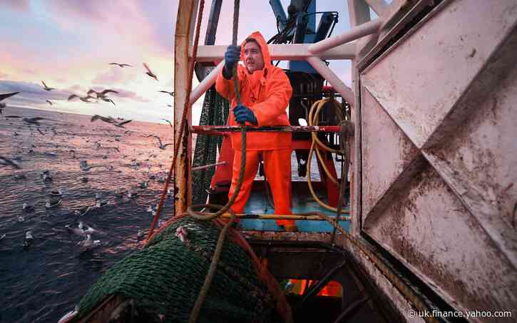 Calls for all fishermen to land catch in UK