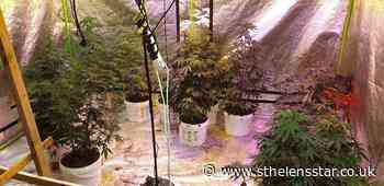 Cannabis farm and 'fake cigarettes' at Windle Street property - St Helens Star