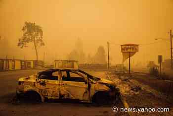 Trump repeats California 'forest management' is to blame for wildfires despite it being dismissed as 'devastating lie'