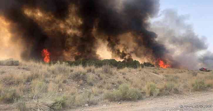 Wildfire burns about 200 acres near Santaquin, but doesn’t force evacuations