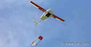 Walmart wants to bring drone deliveries to Arkansas early next year     - CNET