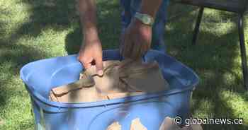 Volunteers provide 200 free meals to vulnerable population in downtown Lethbridge - Global News