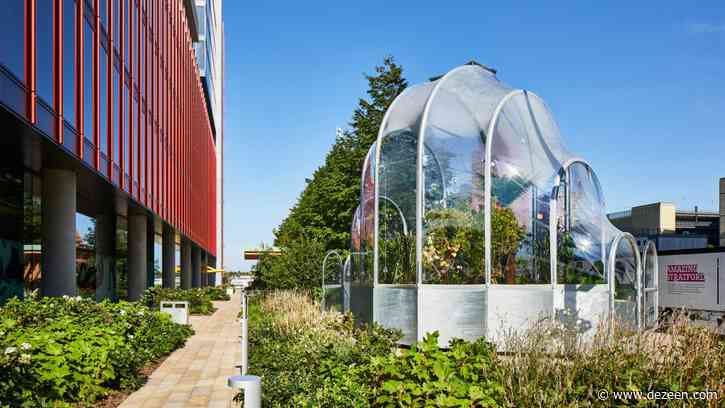 Studio Weave fills Hothouse with tropical plants to highlight London's rising temperatures