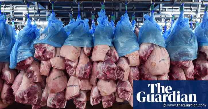 European meat plants posing 'avoidable risk' of disease, inspectors say
