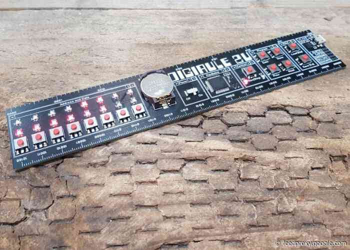 Digirule 2U awesome 8-bit programmable binary computer