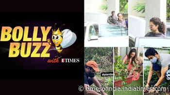Bolly Buzz: Kangana Ranaut leaves Mumbai; Sushant's sister Shweta thanks fans for planting trees