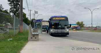 Edmonton police investigating stabbing near Coliseum, 1 in hospital - Global News