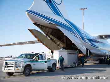 Elk Island bison make historic COVID-19 conservation trip to Russia - Edmonton Journal