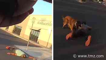 Arizona Cops Release Body Cam Footage Showing Brutal Use of K-9 Force