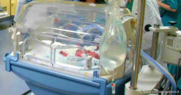 Batterio-killer tra i neonati a Verona, provvedimento disciplinare anche per la direttrice di Microbiologia