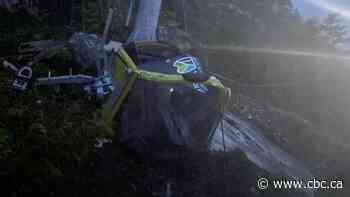 Cable of B.C.'s Sea-to-Sky Gondola deliberately cut for 2nd time