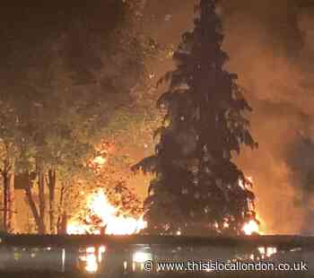 Fire torches Thornton Heath garden in late at night