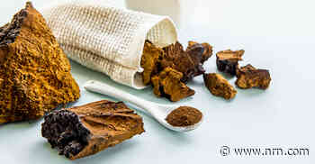 Flavor of the Week: Chaga, king of medicinal mushrooms