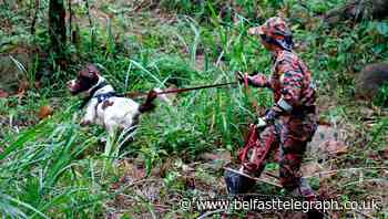 Sniffer dogs lost the scent of Nora Quoirin during search, inquest told