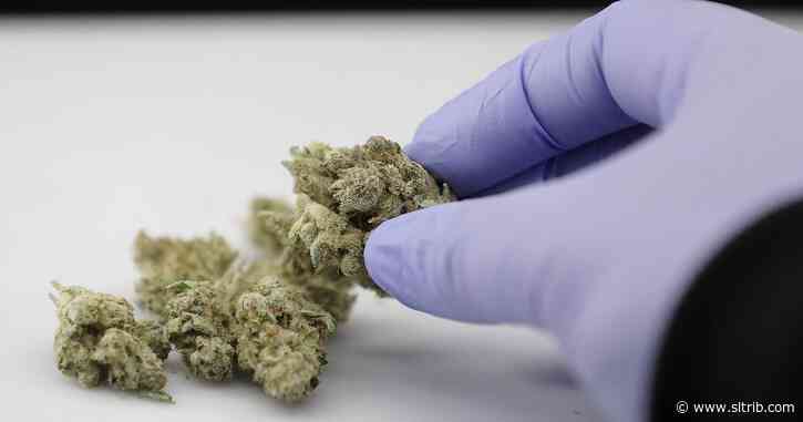 Advocates to drop their legal challenge over Utah’s marijuana initiative