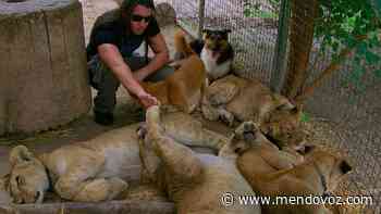 Clausuraron el zoológico de Luján de Buenos Aires - Mendovoz
