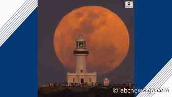 Astronomers see possible hints of life in Venus's clouds
