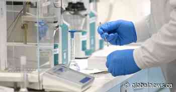 Ottawa must secure rapid test kits, Oxford vaccine for Canadians: expert - Global News