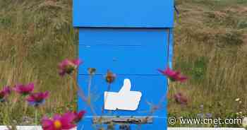 Facebook to present top climate science through dedicated information hub     - CNET