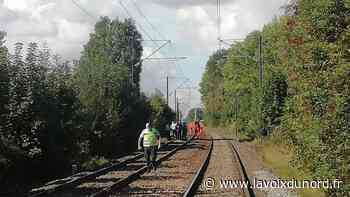 Brebières : un homme meurt percuté par un train, le trafic interrompu entre Arras et Douai - La Voix du Nord