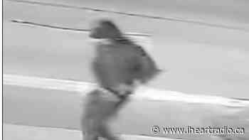 Could Toronto be dealing with a serial killer? - Newstalk 1010 (iHeartRadio)