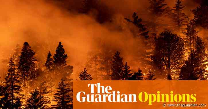 Drought, plague, fire: the apocalypse feels nigh. Yet we have tools to stop it | Art Cullen