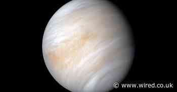 Everything you need to know about signs of life discovered on Venus