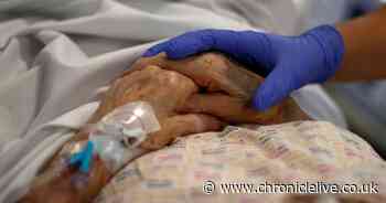 Coronavirus deaths fall across country and now stand at 1% of national total