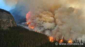How weather, COVID-19 spared Canada from wildfires like those in the U.S.