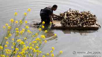 Was steckt hinter Pekings Politik der zwei Kreisläufe? - DW (Deutsch)