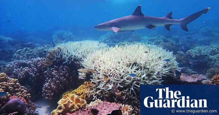 World fails to meet a single target to stop destruction of nature – UN report