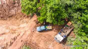 UN: 'Business-as-usual' must be transformed to prevent collapse of nature