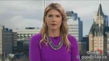 VIDO-InterVac one step from COVID-19 vaccine clinical trials