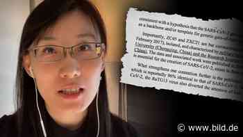 Dr. Li-Meng Yan aus China: Coronavirus in Labor hergestellt? Ihr Beweismaterial! - BILD