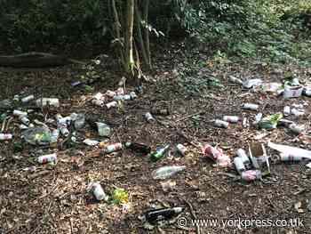 'Shock' over rubbish left at York wood