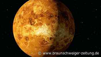 Weltraum: Leben auf der Venus? Nasa-Entdeckung begeistert Forscher