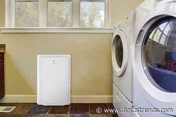 Improve air quality with the best dehumidifiers for 2020