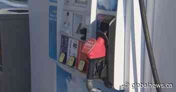 Kenney unconcerned with OPEC demand drop, says ‘real world’ needs oil and gas