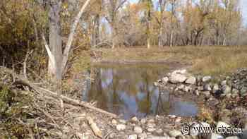 Alberta government commits $43M to upgrade provincial parks
