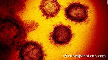 Tratamientos contra el coronavirus: ¿cuál es el estado actual del control de la enfermedad? - CNN