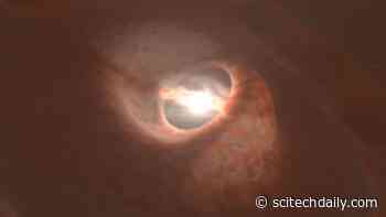 A Warped Disc “Torn Apart by Stars” Discovered in a Triple Tatooine-Like System