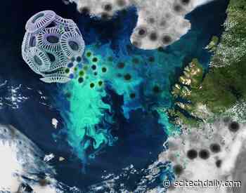 Scientists Have Long Believed That Ocean Viruses Always Quickly Kill Algae – They Were Wrong