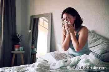 “COVID-19 Is Here to Stay” – Scientists Predict That SARS-CoV-2 Will Become a Seasonal Virus