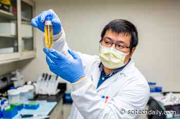 Ab8 COVID-19 Drug Breakthrough: Tiny Antibody Component Completely Neutralizes the SARS-CoV-2 Virus