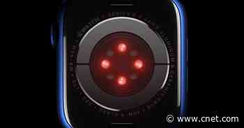 The new Apple Watch can measure blood oxygen, a vital metric for people with COVID-19     - CNET