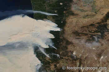 Why Volcanic Ash and Wildfire Ash Are Very Different Hazards