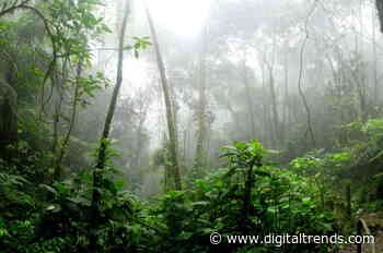 The UN’s 2020 biodiversity report is ugly, but there’s still hope