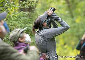 Migrating birds passed overhead, and some stopped in Shanksville