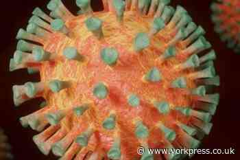 Ten York areas have coronavirus cases confirmed